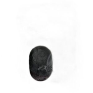 Konjac Sponge - conjac spons - zwart – productfoto 1